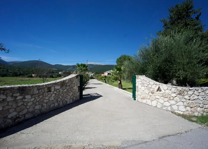 فيلة Thalia سامي